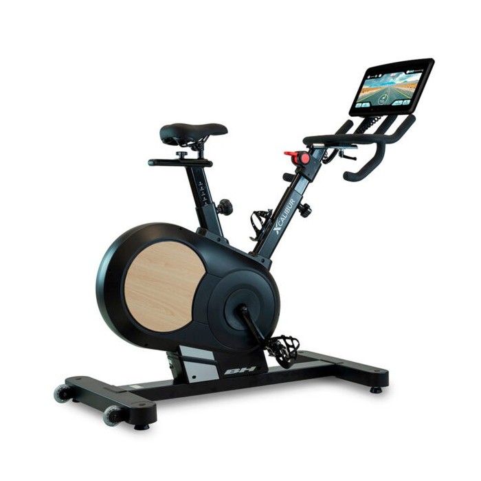 Xcalibur Magnetic Eichen Multimedia H9340TFT