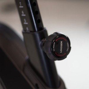 Xcalibur Magnetic Eichen Multimedia H9340TFT