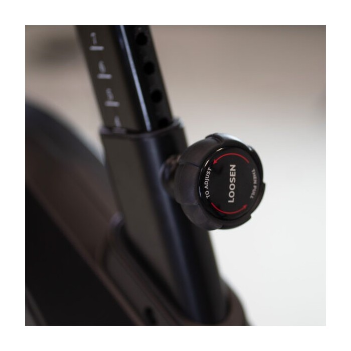 Xcalibur Magnetic Eichen Multimedia H9340TFT