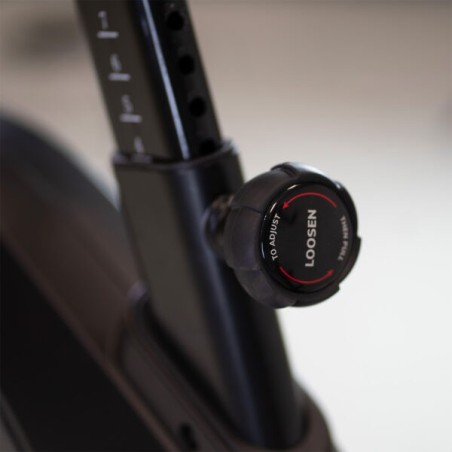 Xcalibur Magnetic Eichen Multimedia H9340TFT