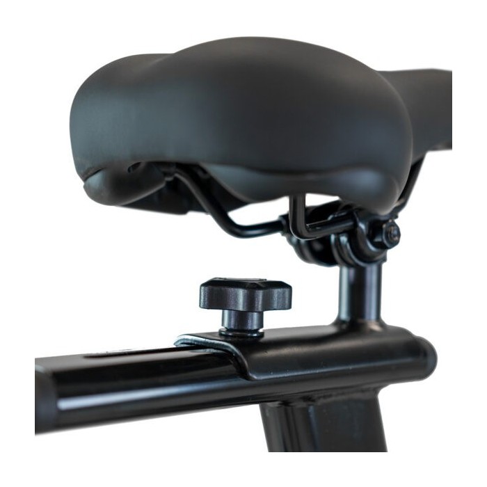 Xcalibur Magnetic Eichen H9340