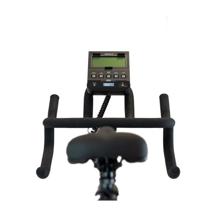 Xcalibur Magnetic Eichen H9340